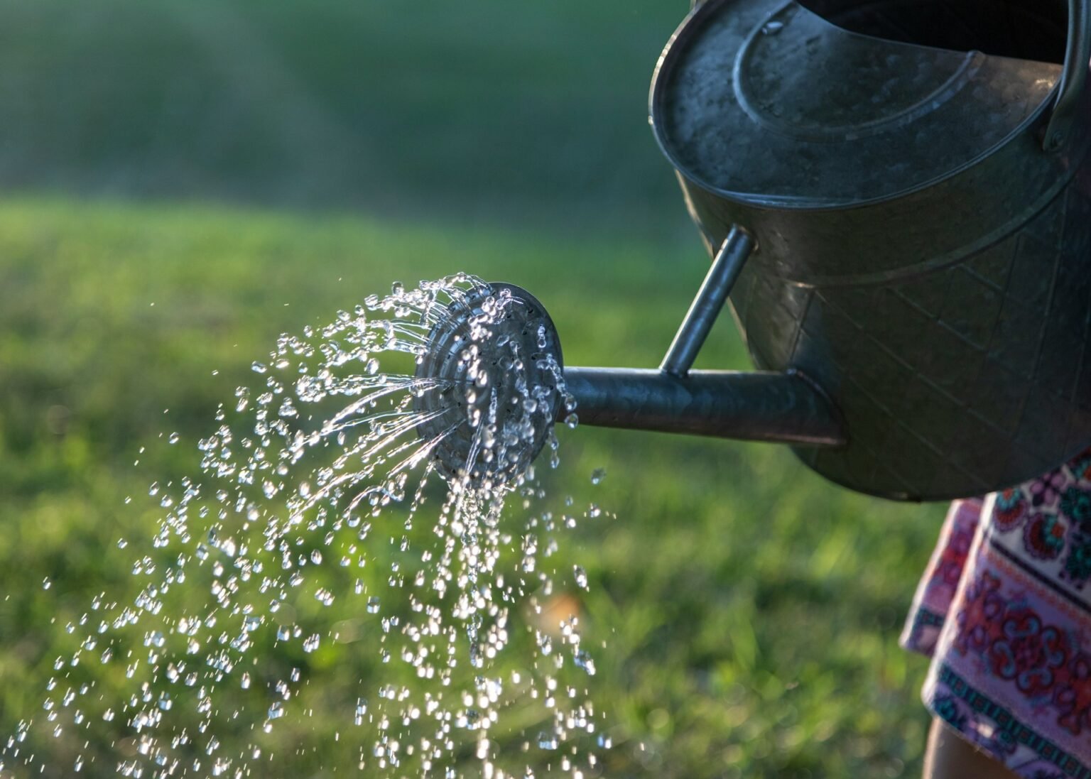Water Pricing in Agriculture Products Trade