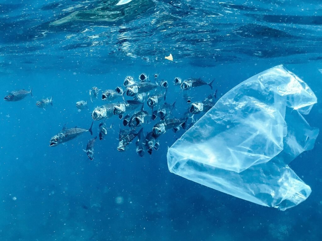 plastic pollution in ocean