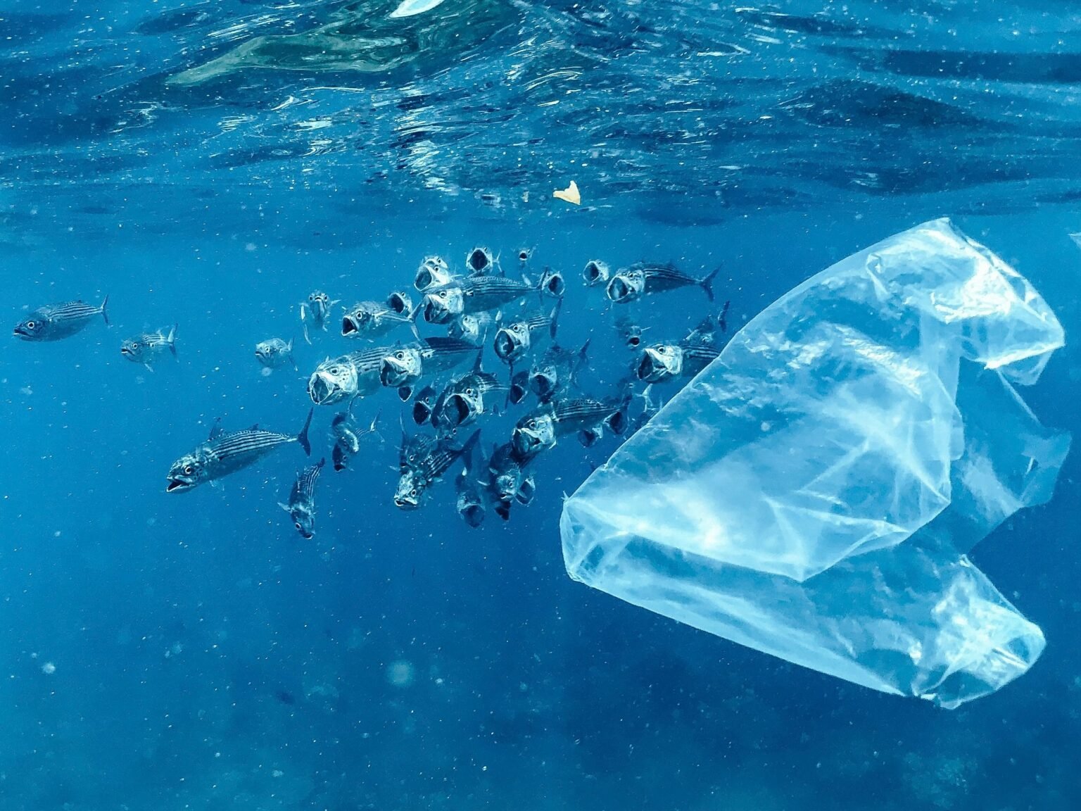 plastic pollution in ocean